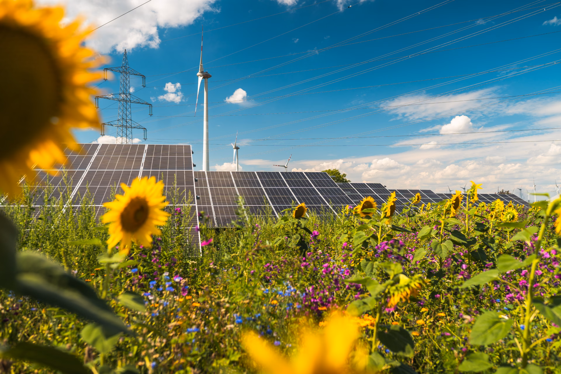 Sonnenblumenfeld mit Solar-Panelen
